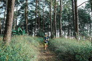 BIB: 
                            <button type="button" onclick="openModal(25659379)" class="btn btn-primary btn-sm float-right btn-popup" data-toggle="modal" data-target=".modal-high-quality">
                        <i class="fas fa-shopping-cart"></i> Add to Cart
                    </button>
                                            <button type="button" onclick="isThisMe(25659379, true)" class="btn btn-success btn-sm float-right btn-popup btn-isme hidden" data-toggle="tooltip" data-placement="bottom" title="นี่คือรูปของคุณใช่ไหม คลิกที่นี่เพื่อเอาเข้าอัลบั้ม">
                        <i class="fas fa-plus"></i> Add to album
                    </button>
                    <button type="button" onclick="isThisMe(25659379, false)" class="btn btn-warning btn-sm float-right btn-popup btn-isnotme hidden">
                        <i class="fas fa-ban"></i> Remove from album
                    </button>